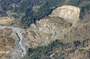 The cliff that collapsed into a massive mudslide is seen covered with felled trees in Oso, Washington March 31, 2014. Recovery teams struggling through thick mud up to their armpits and heavy downpours at the site of the devastating landslide in Washington state are facing yet another challenge - an unseen and potentially dangerous stew of toxic contaminants. REUTERS/Rick Wilking (UNITED STATES - Tags: DISASTER ENVIRONMENT) - RTR3JE4A