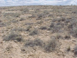 Delta - Grand Junction Colorado Desert